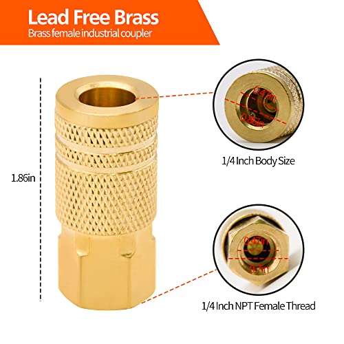 1/4-Inch Brass Female Industrial Coupler, 20 Pack 1/4 Inch Air Hose Fittings NPT Female Quick Connector for Professional Jobsites and Automotive Shops - style: 20pcs Female Couplers