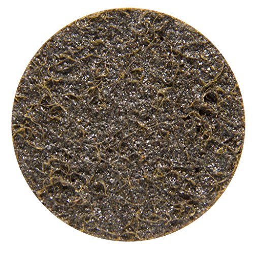 Benchmark Abrasives 2 Inch Sanding Discs Quick Change Nylon Surface Conditioning Discs, Drill & Die Grinder Sanding Disc Rust Remover for Metal Paint Stripper & Removal, Polishing - (25 Pack)(Coarse) - style: Coarse
