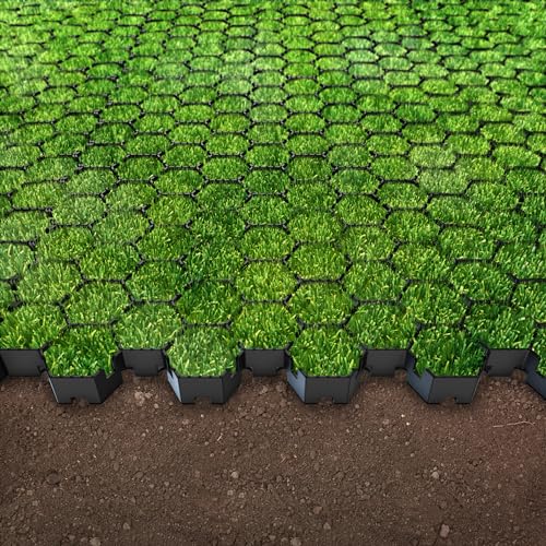 Standartpark Vodaland Permeable Pavers - HexPave Grass & Gravel Permeable Paver System - 100% Recycled PPE Plastic Pavers, Handles 27,000 lbs, 1" Depth, 325 s.f / 110 Units - size: 325 Sq Ft
