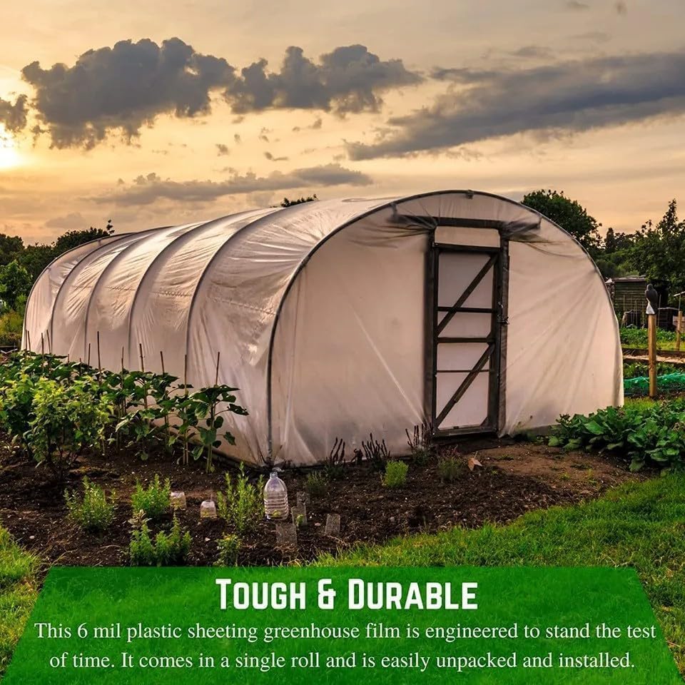Farm Plastic Supply 4 Year Clear 6 mil Greenhouse Plastic Sheeting - Clear Sheeting, Polyethylene Film, Transparent Plastic Film for Greenhouse (36' x 75')